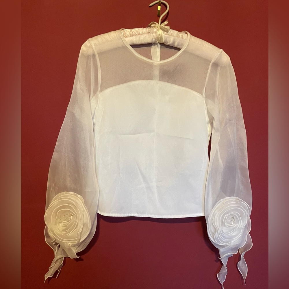 ***Sale*** Anne Fontaine Spring Organza Blouse Made in Paris Size 36